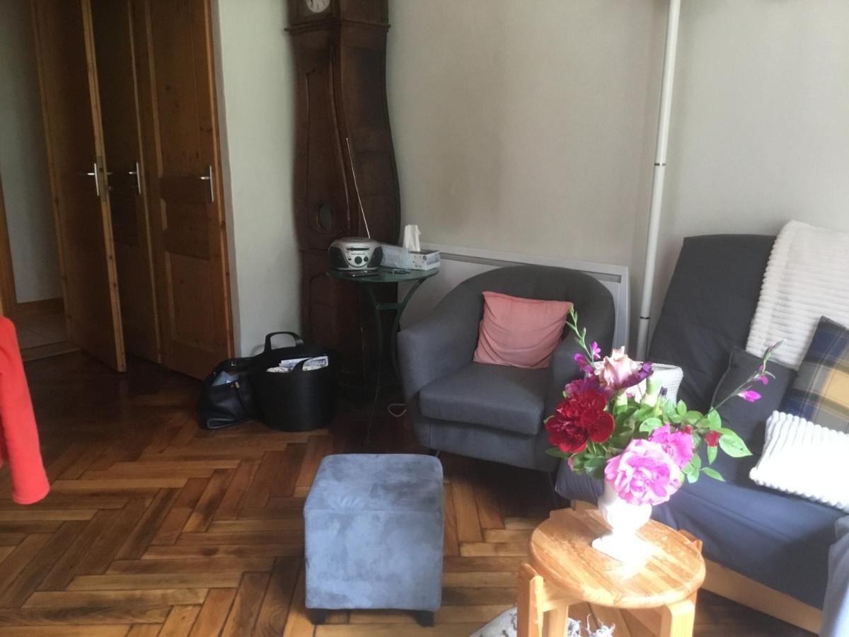 Appartement Typique,Chaleureux Et Pratique 샤모니 외부 사진
